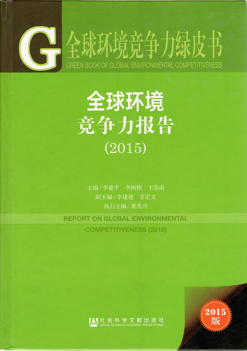 爆操抠逼内射抽插高潮全球环境竞争力报告（2017）